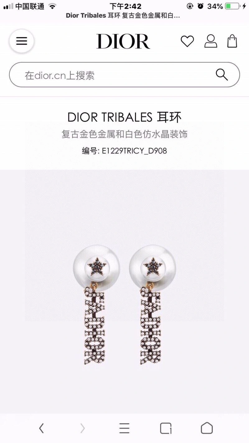UrbanChic Christian Dior Earrings 235525