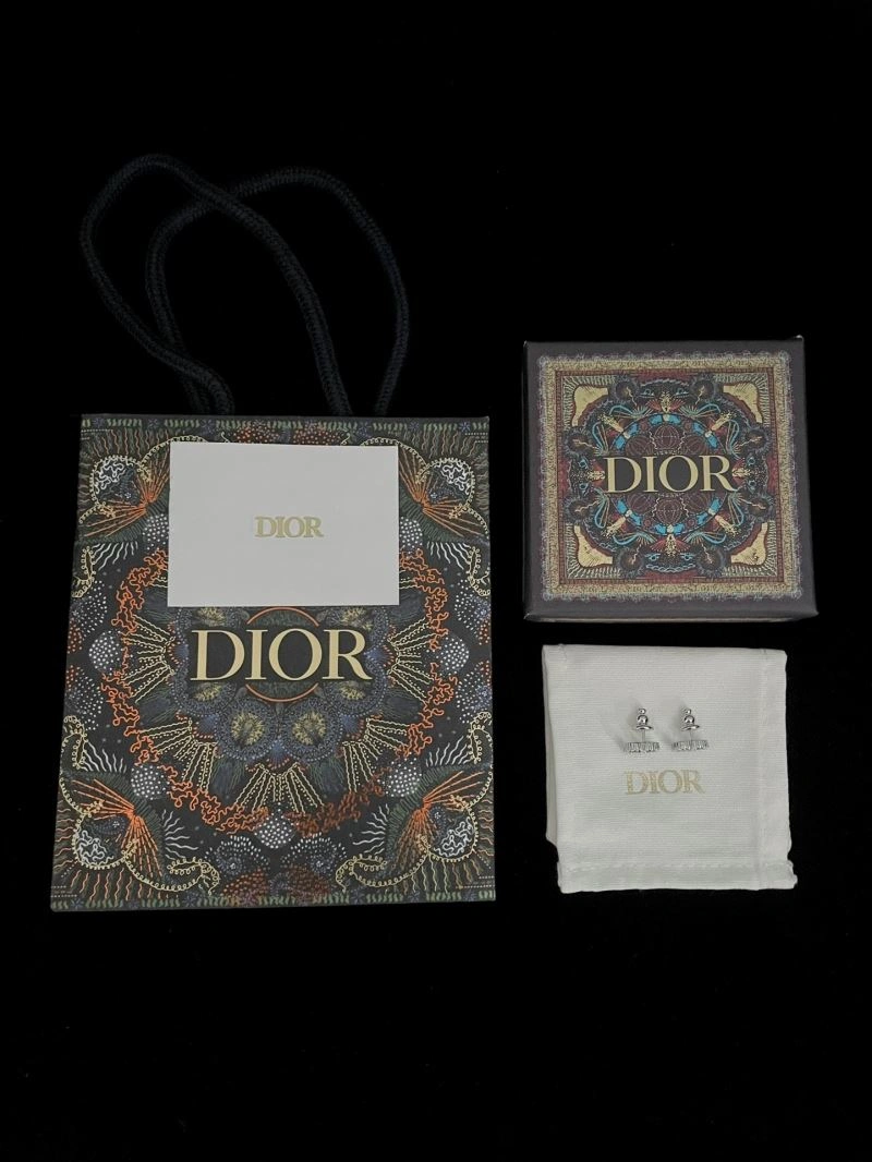 Youthful Christian Dior Earrings 235555