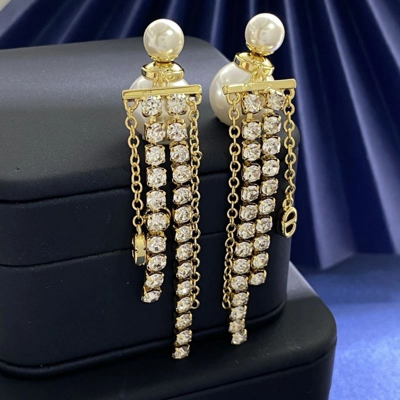 FastDry Christian Dior Earrings 235511