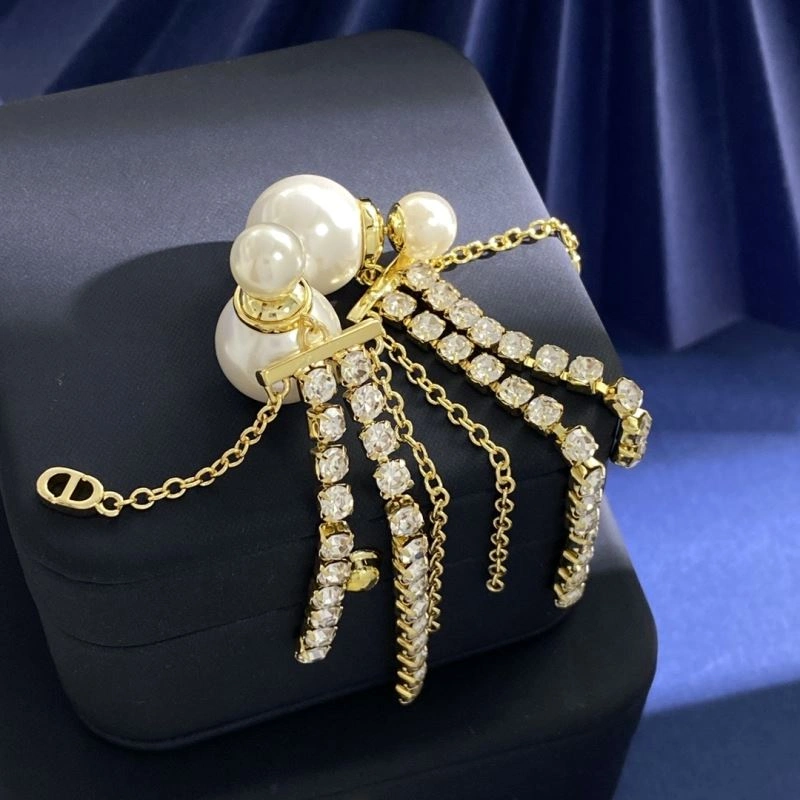 FastDry Christian Dior Earrings 235511
