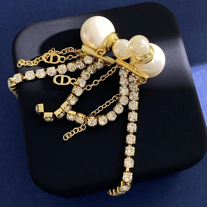 FastDry Christian Dior Earrings 235511