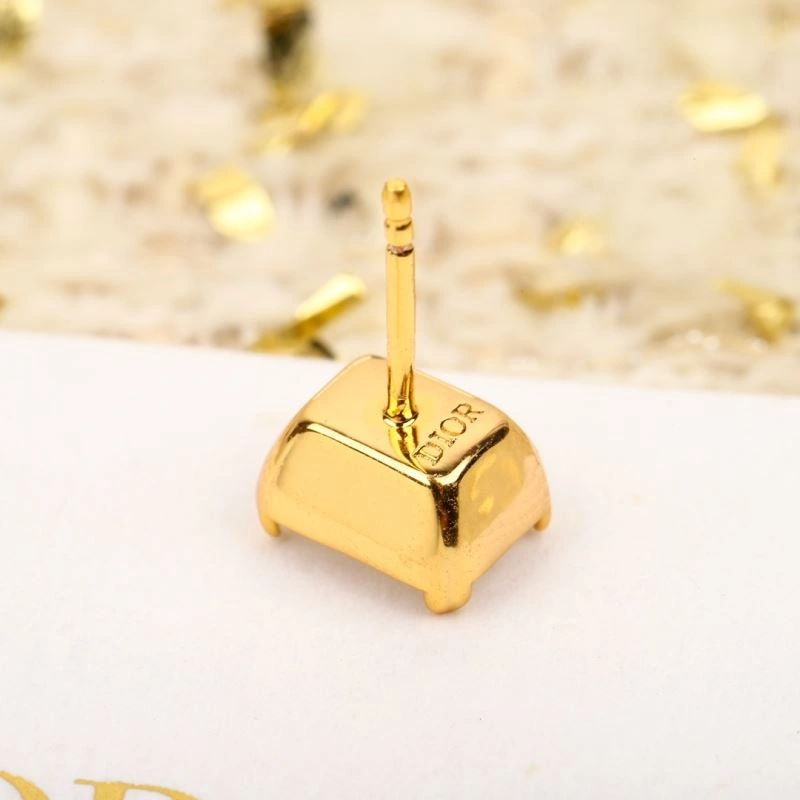 Supportive Christian Dior Earrings 235522