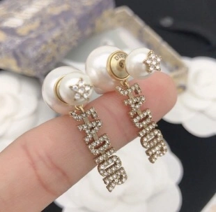 Christian Dior Earrings Sleek 235580