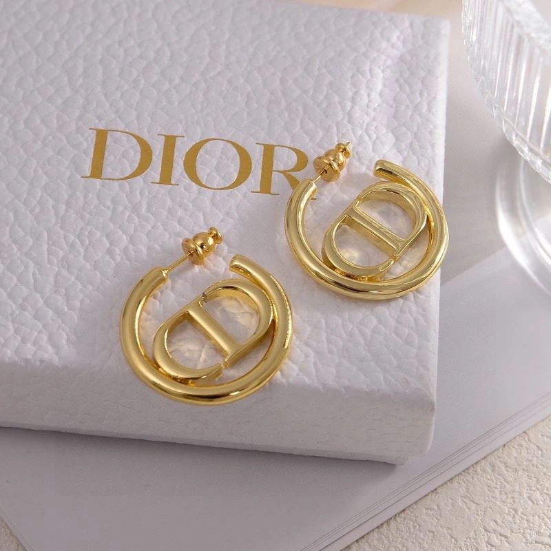 WaterResistant Christian Dior Earrings 235324