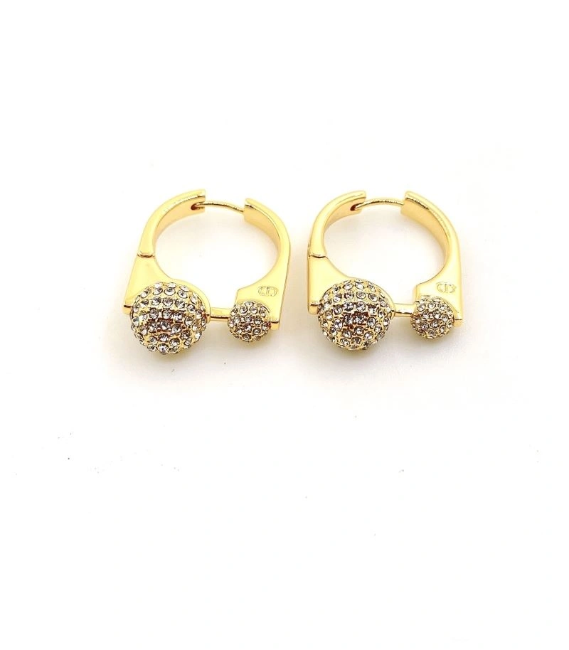 Thermal Christian Dior Earrings 235325