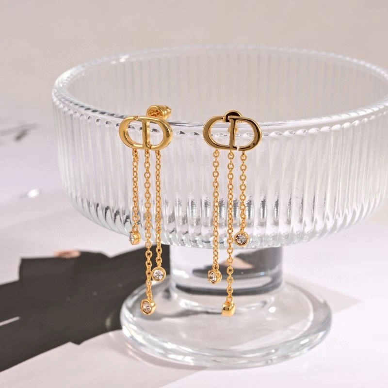 Christian Dior Earrings Affordable 235379