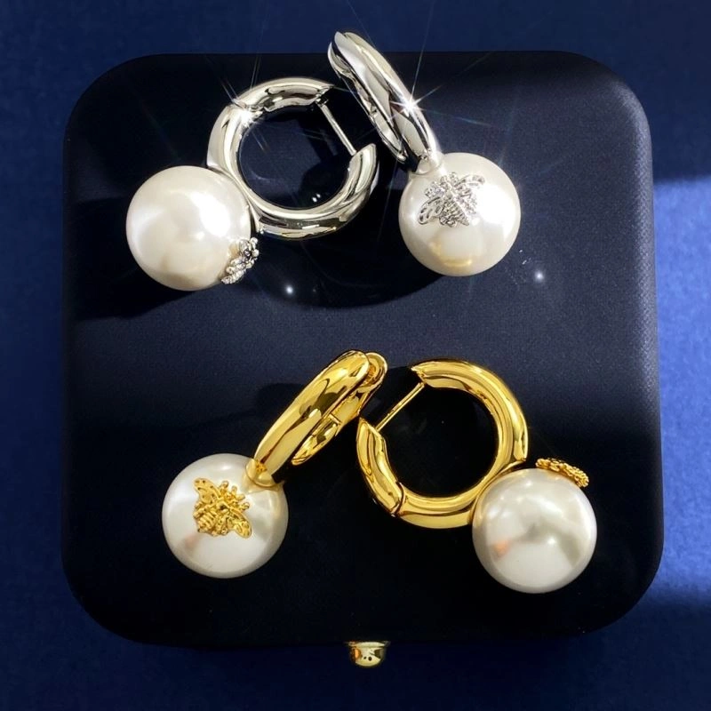 Casual Christian Dior Earrings 235319