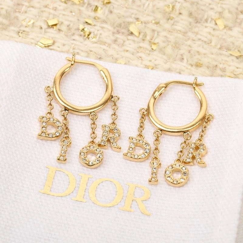 Christian Dior Earrings Trendy 235298