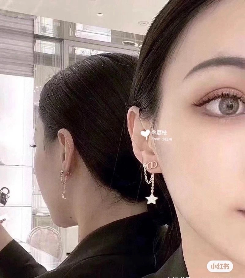 Christian Dior Earrings Sophisticated 235291