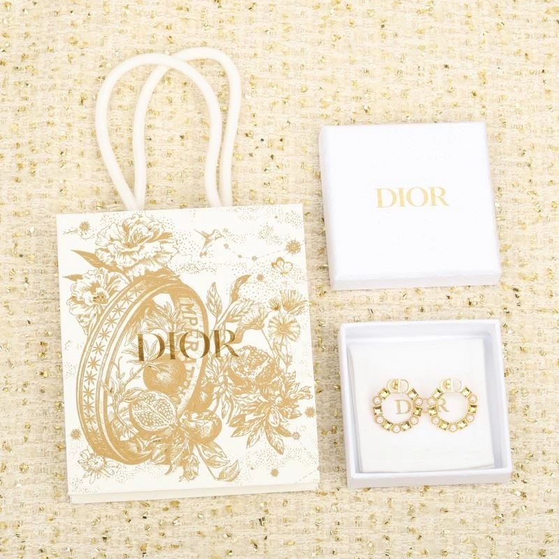 Durable Christian Dior Earrings 235287