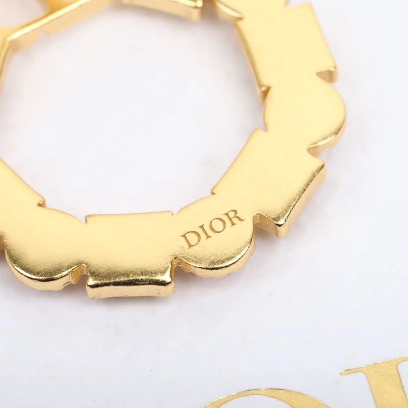 Durable Christian Dior Earrings 235287