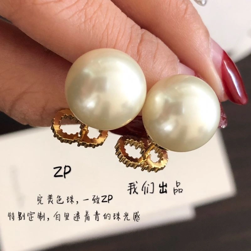 Christian Dior Earrings StreetReady 235275