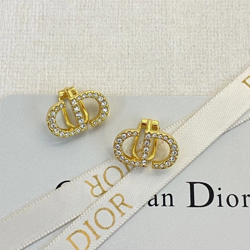 Casual Christian Dior Earrings 235346