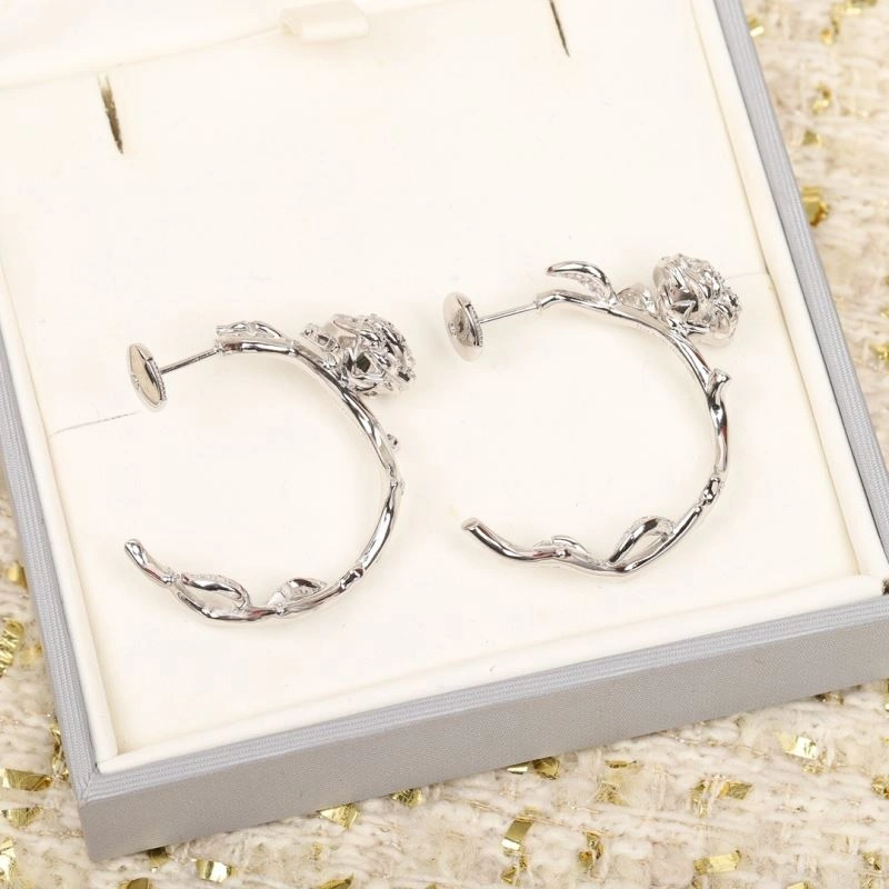 Christian Dior Earrings Breathable 235270