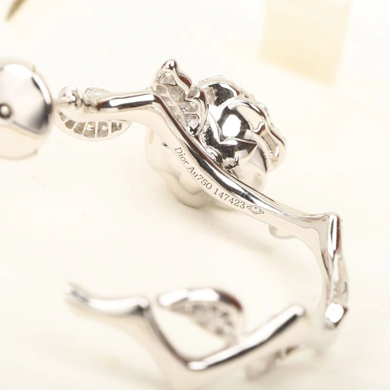Christian Dior Earrings Breathable 235270