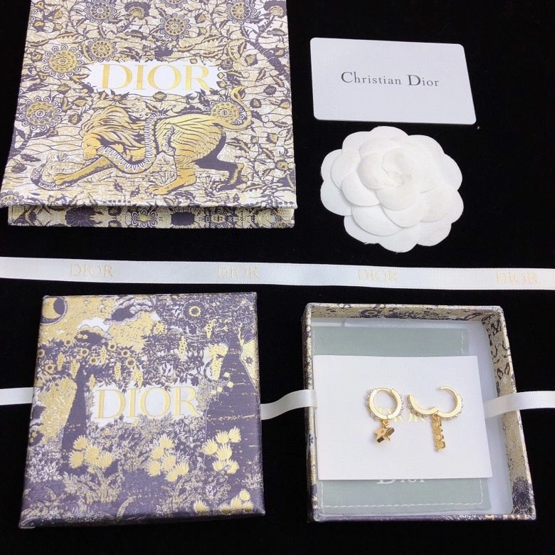 Sustainable Christian Dior Earrings 235254