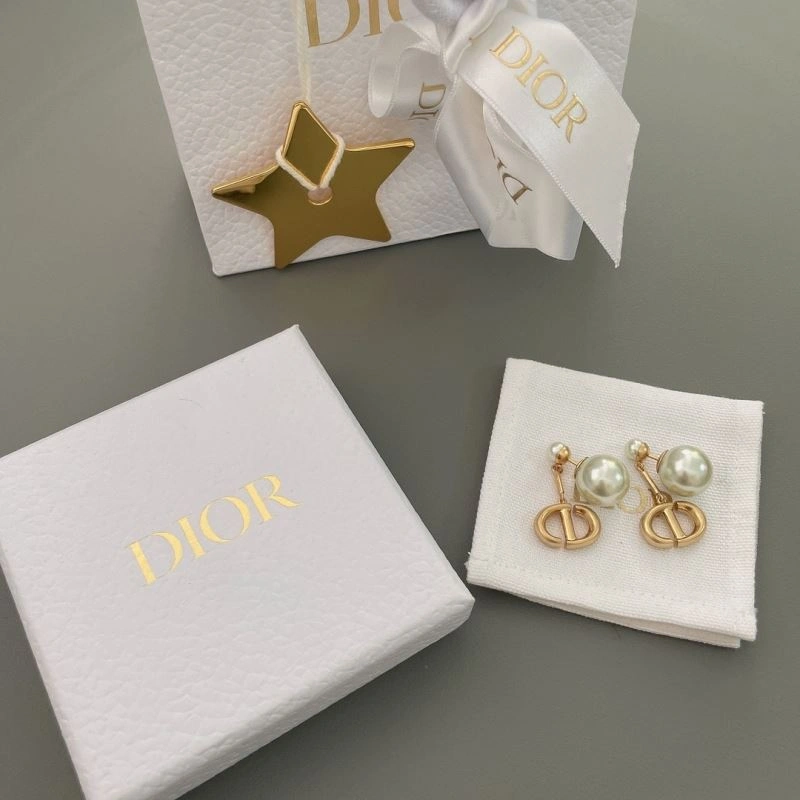 Minimalist Christian Dior Earrings 235091