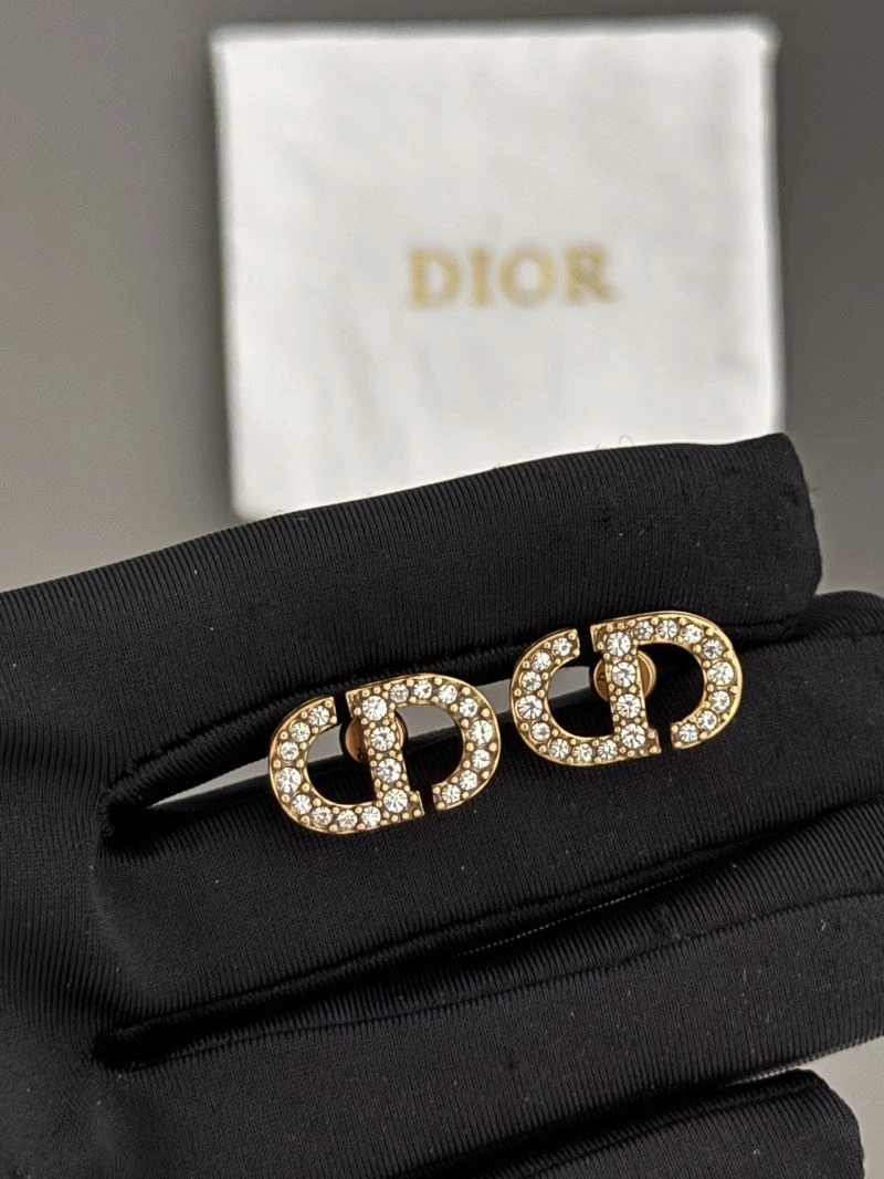 Christian Dior Earrings Breathable 235074