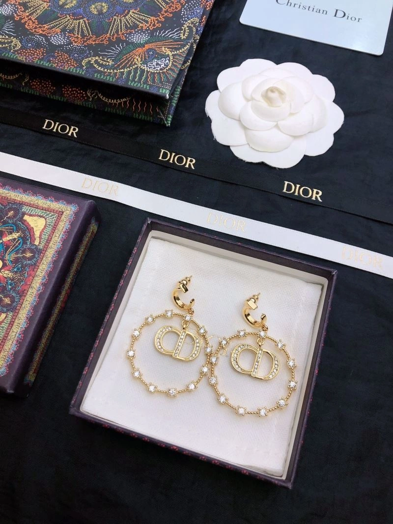 Popular Christian Dior Earrings 235078