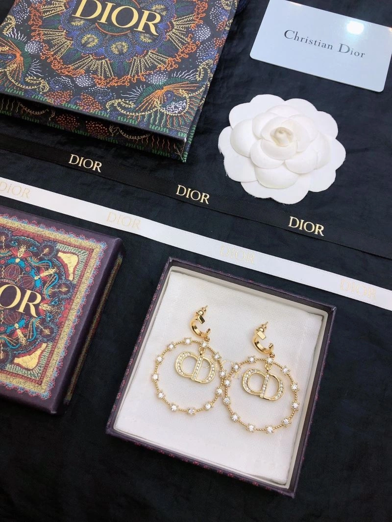 Popular Christian Dior Earrings 235078