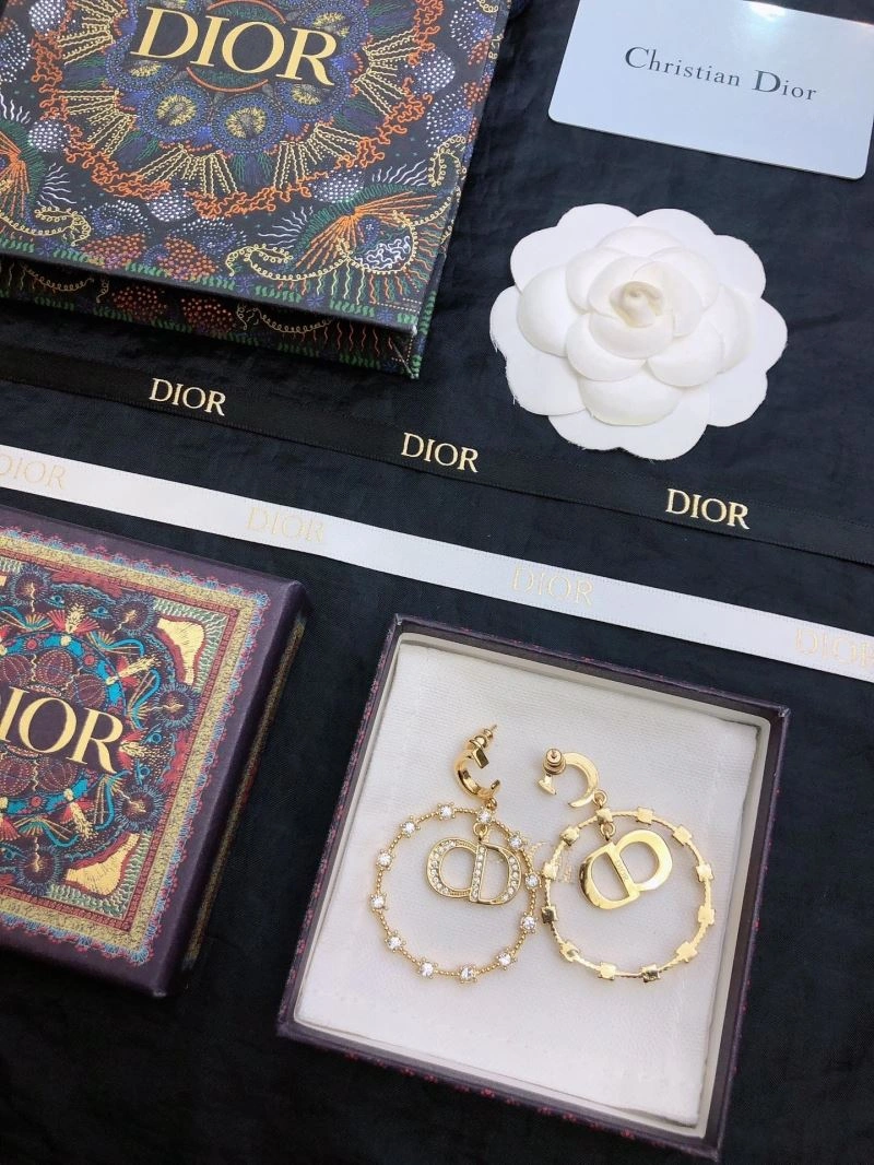 Popular Christian Dior Earrings 235078