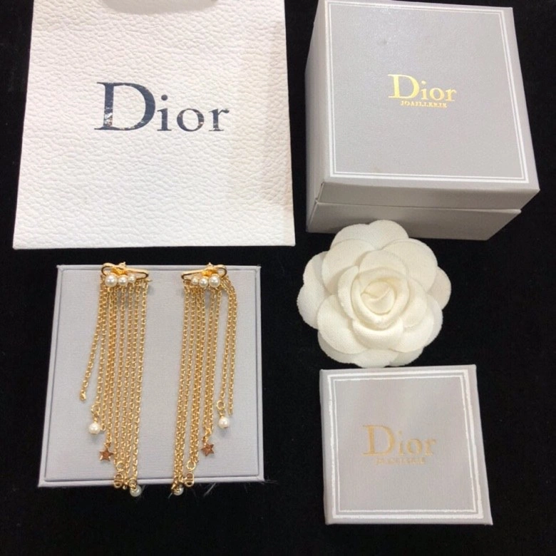 Christian Dior Earrings Sophisticated 235175