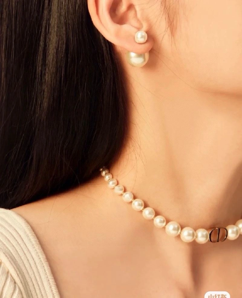 Durable Christian Dior Earrings 235049