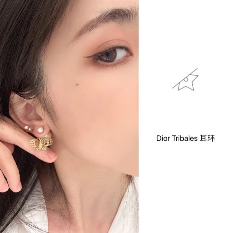 Christian Dior Earrings Sophisticated 235038