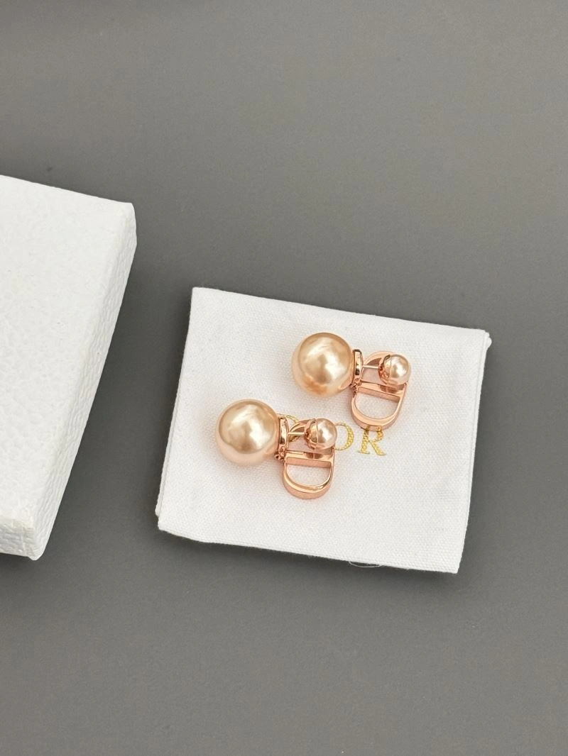 Christian Dior Earrings StreetReady 235032
