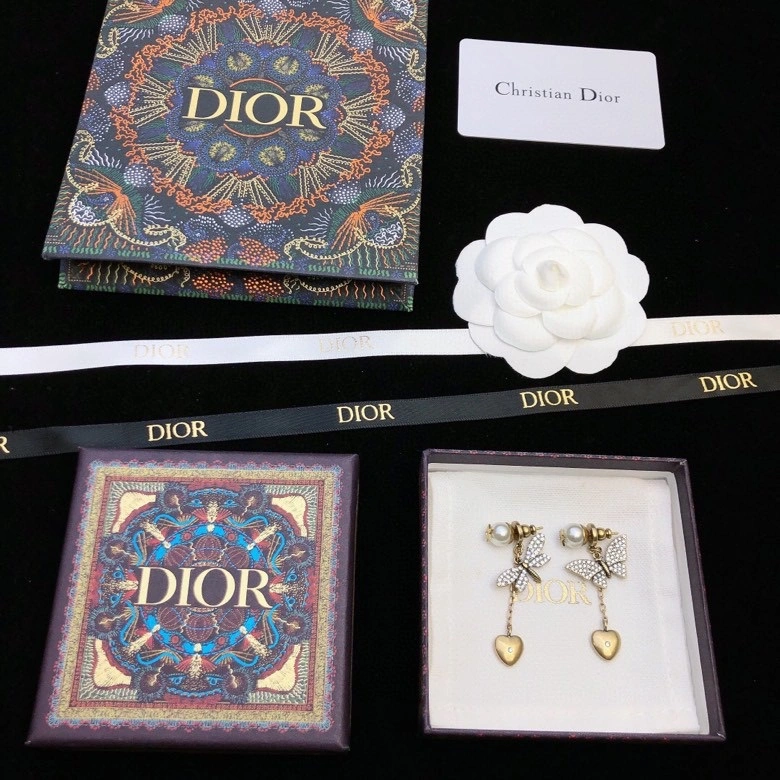 Youthful Christian Dior Earrings 235131