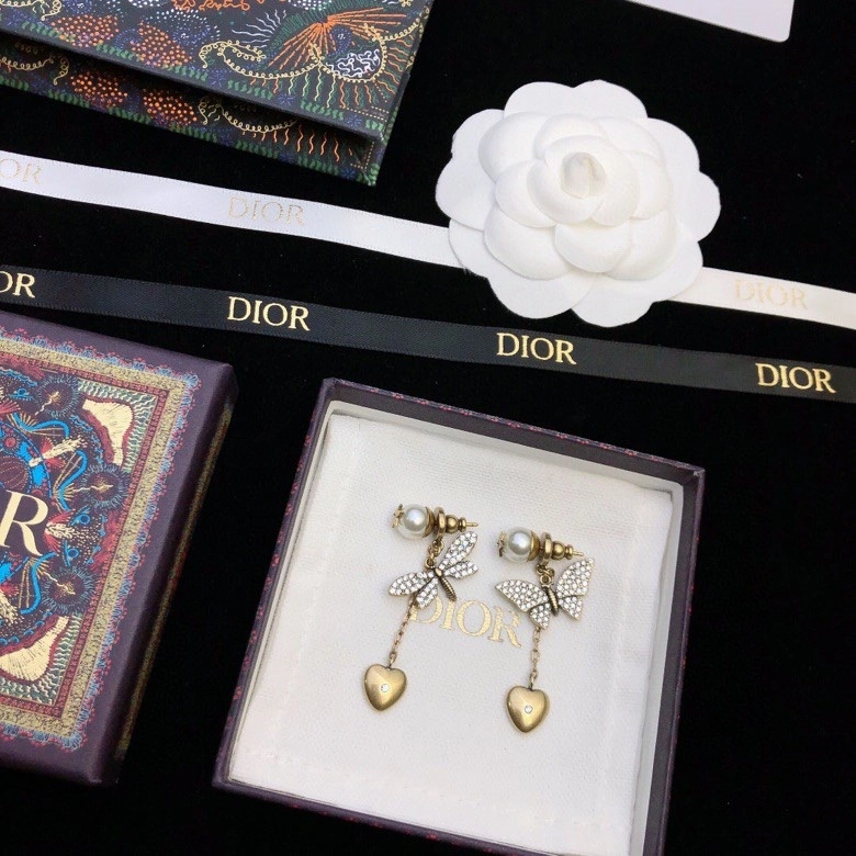 Youthful Christian Dior Earrings 235131