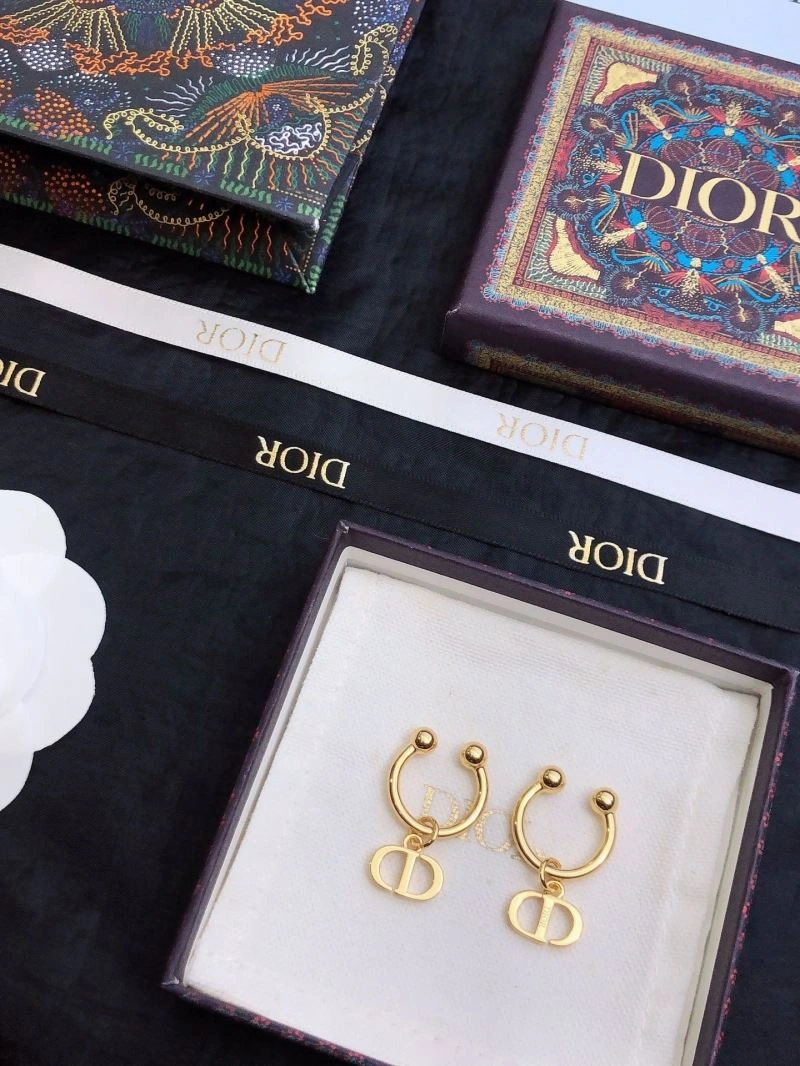 Cozy Christian Dior Earrings 235031