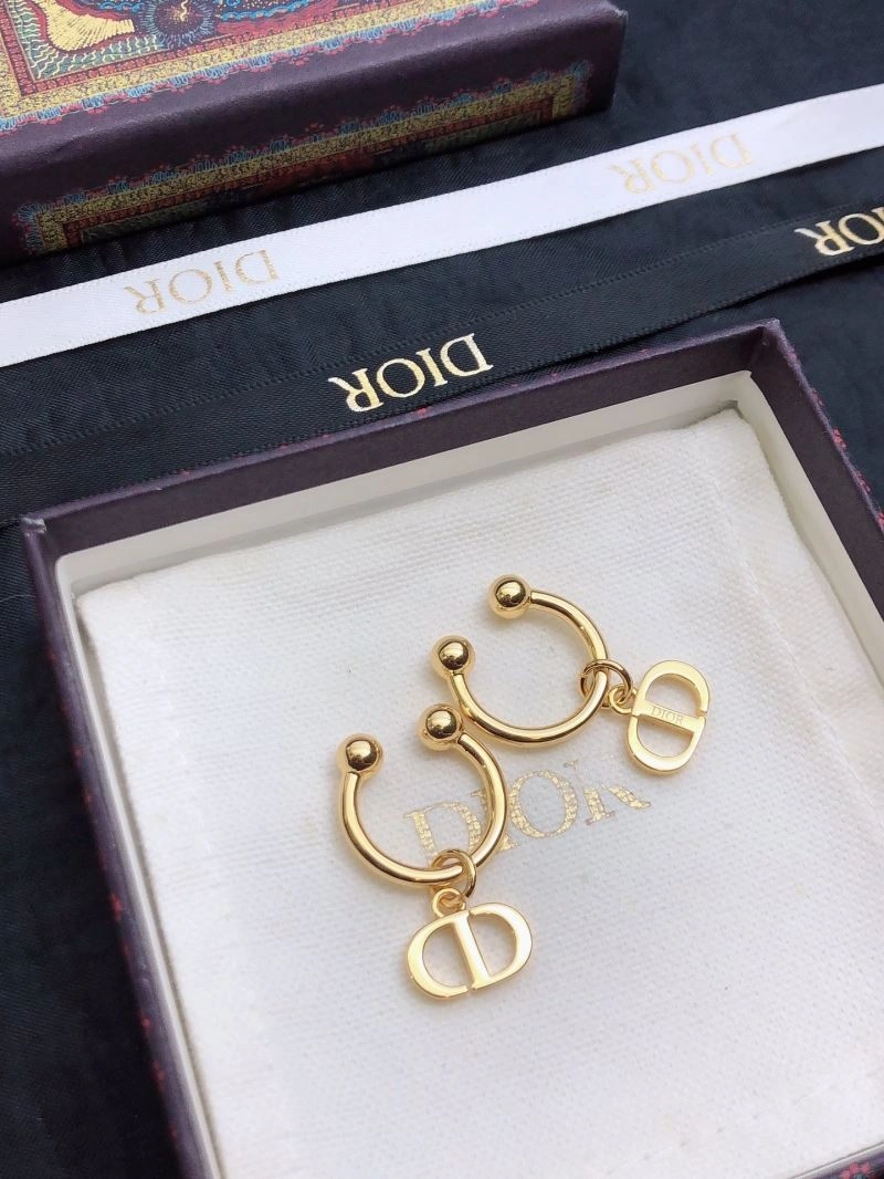 Cozy Christian Dior Earrings 235031