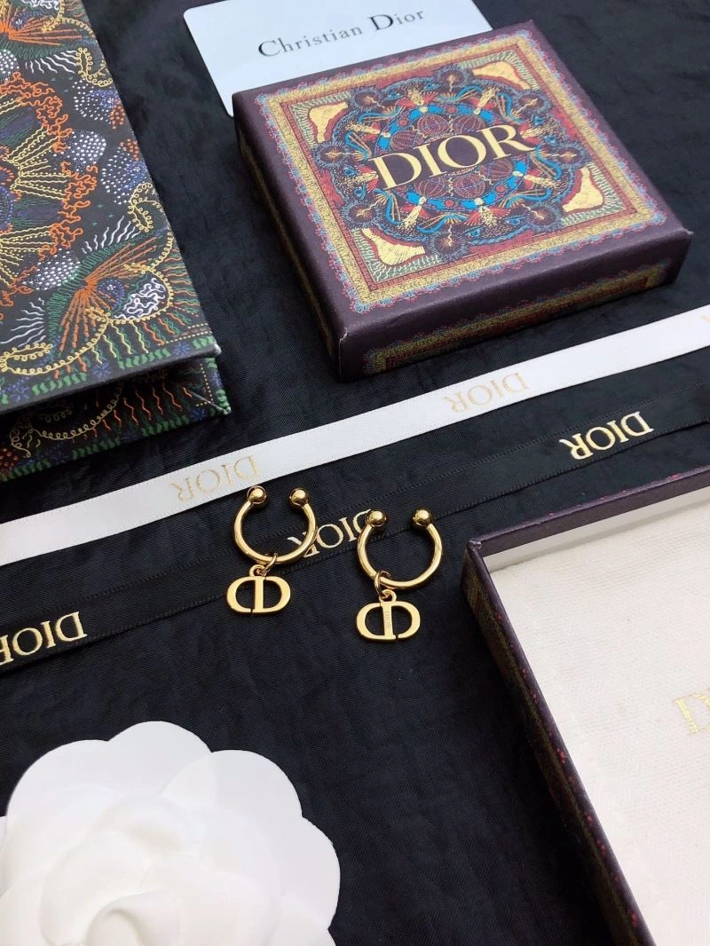Cozy Christian Dior Earrings 235031