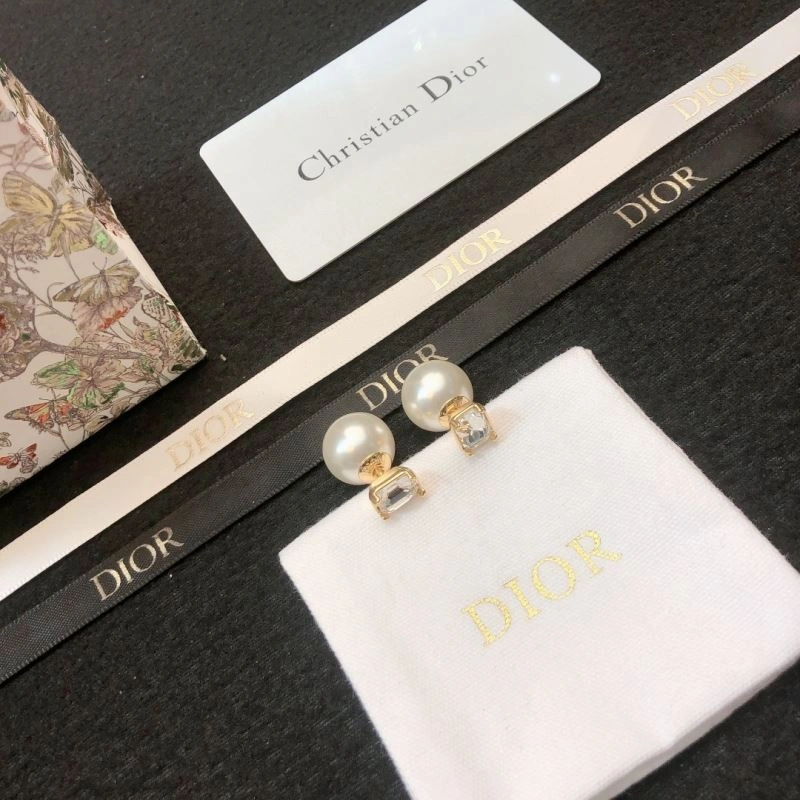 Refined Christian Dior Earrings 235023