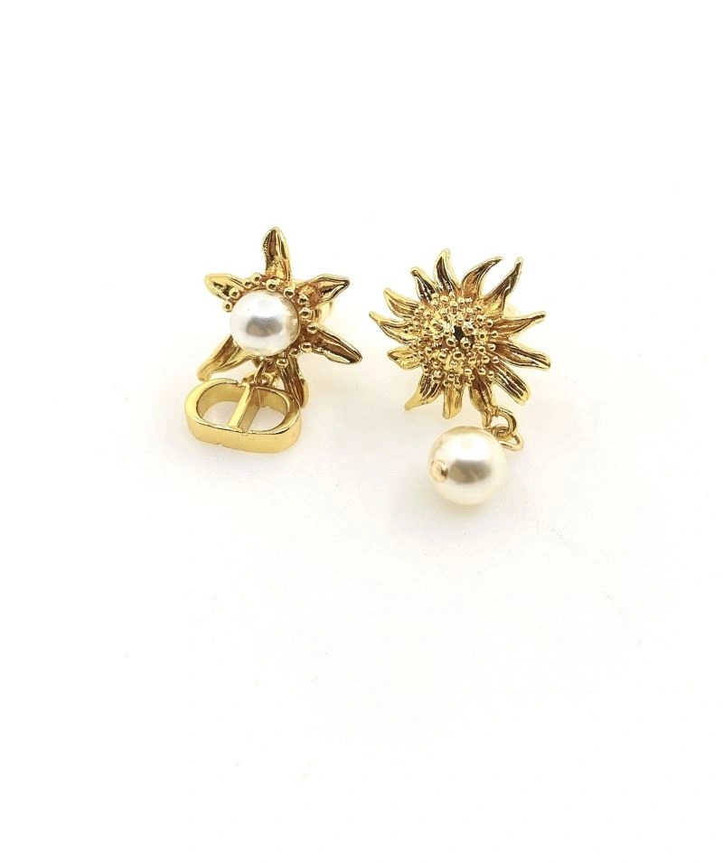 Christian Dior Earrings Affordable 235016