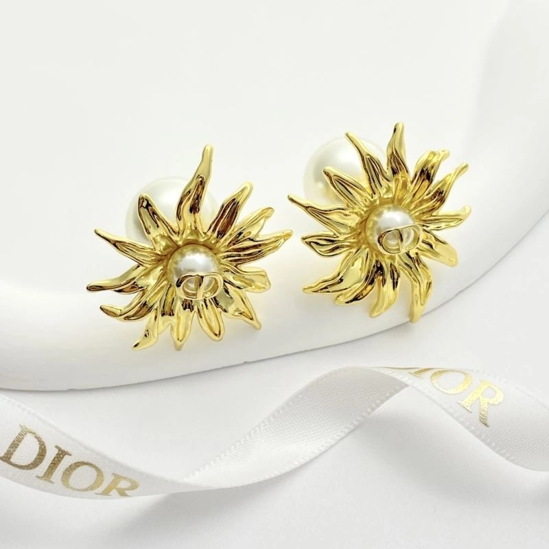 Casual Christian Dior Earrings 234998