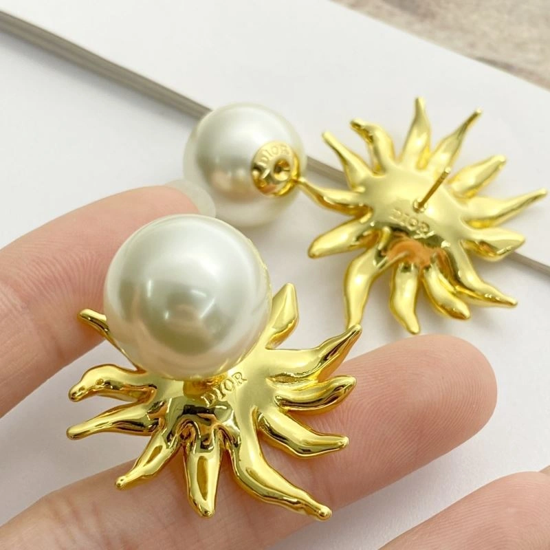 Casual Christian Dior Earrings 234998