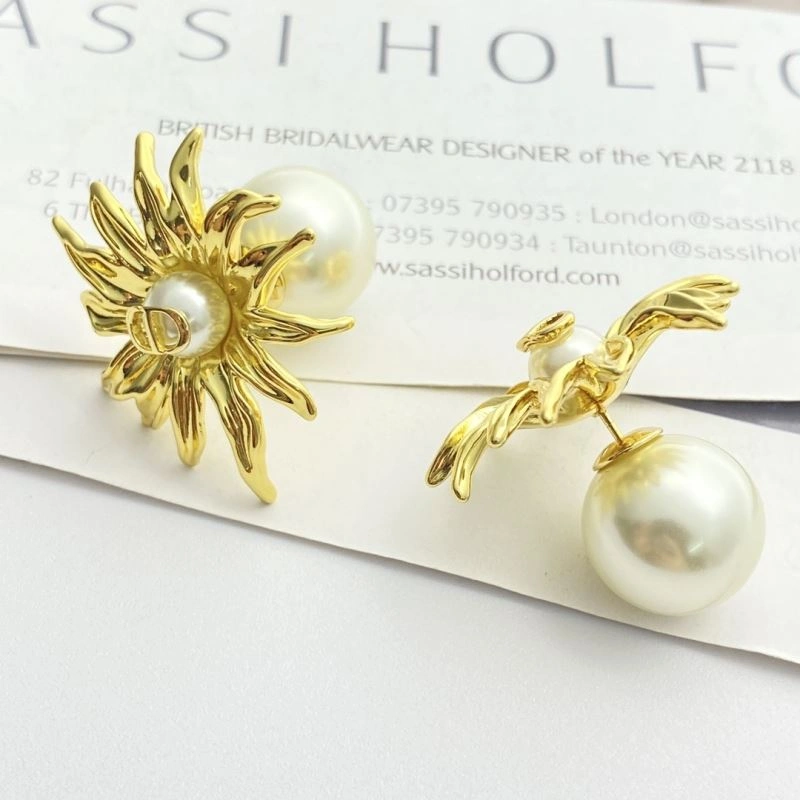 Casual Christian Dior Earrings 234998