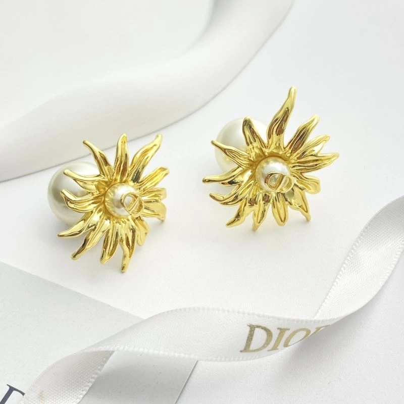 Casual Christian Dior Earrings 234998