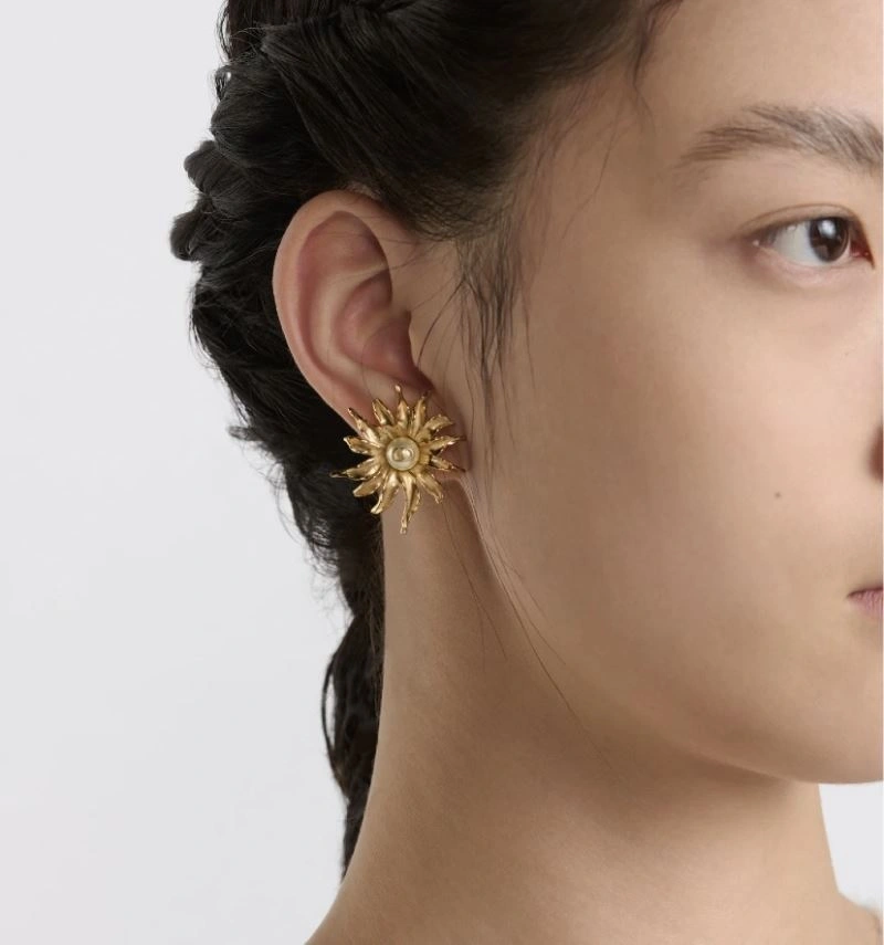 Casual Christian Dior Earrings 234998