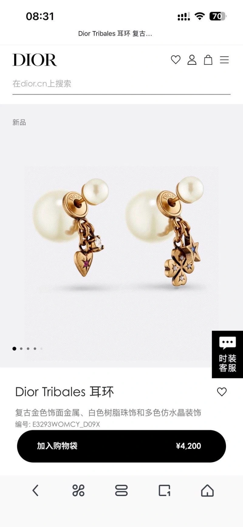 FastDry Christian Dior Earrings 235082