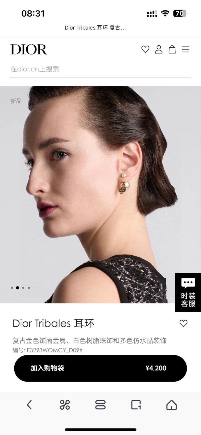 FastDry Christian Dior Earrings 235082