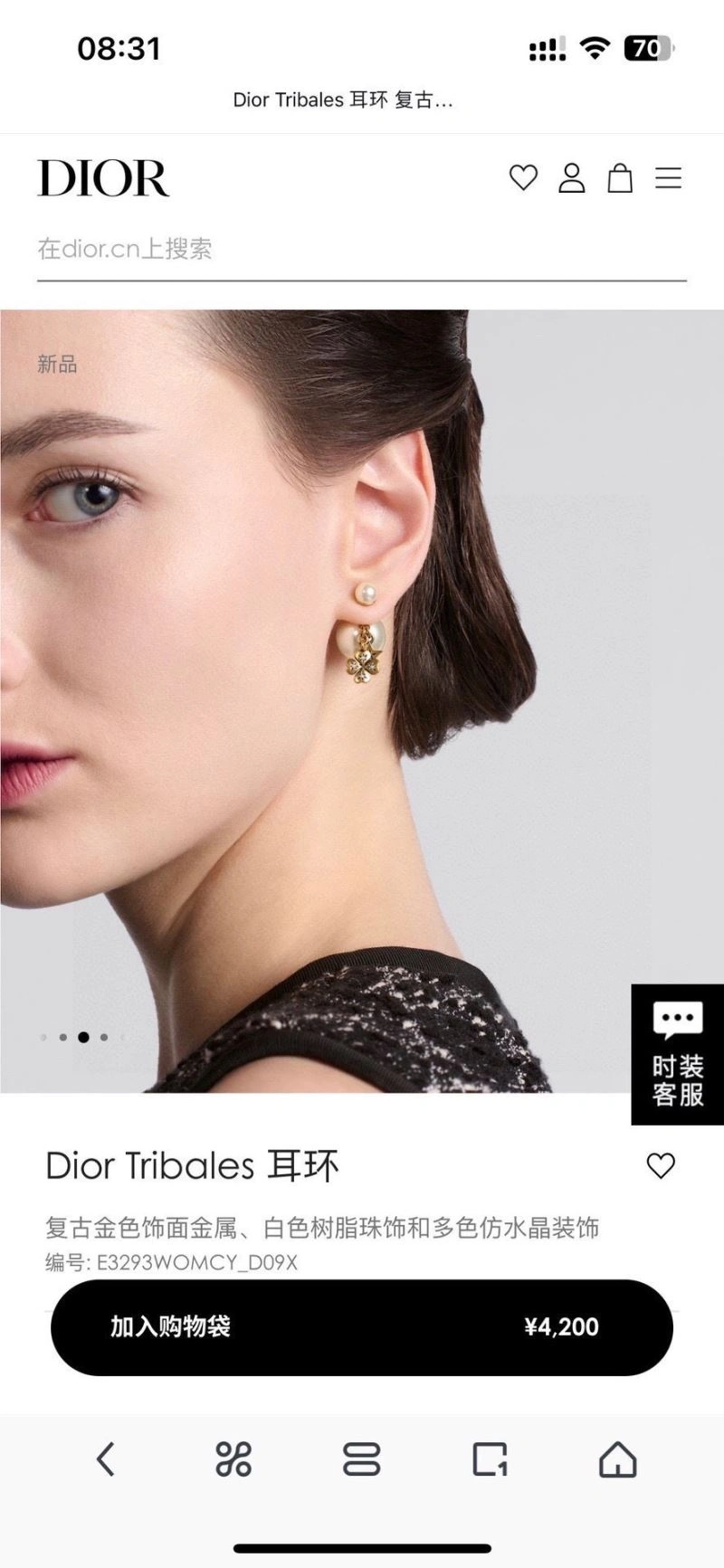 FastDry Christian Dior Earrings 235082
