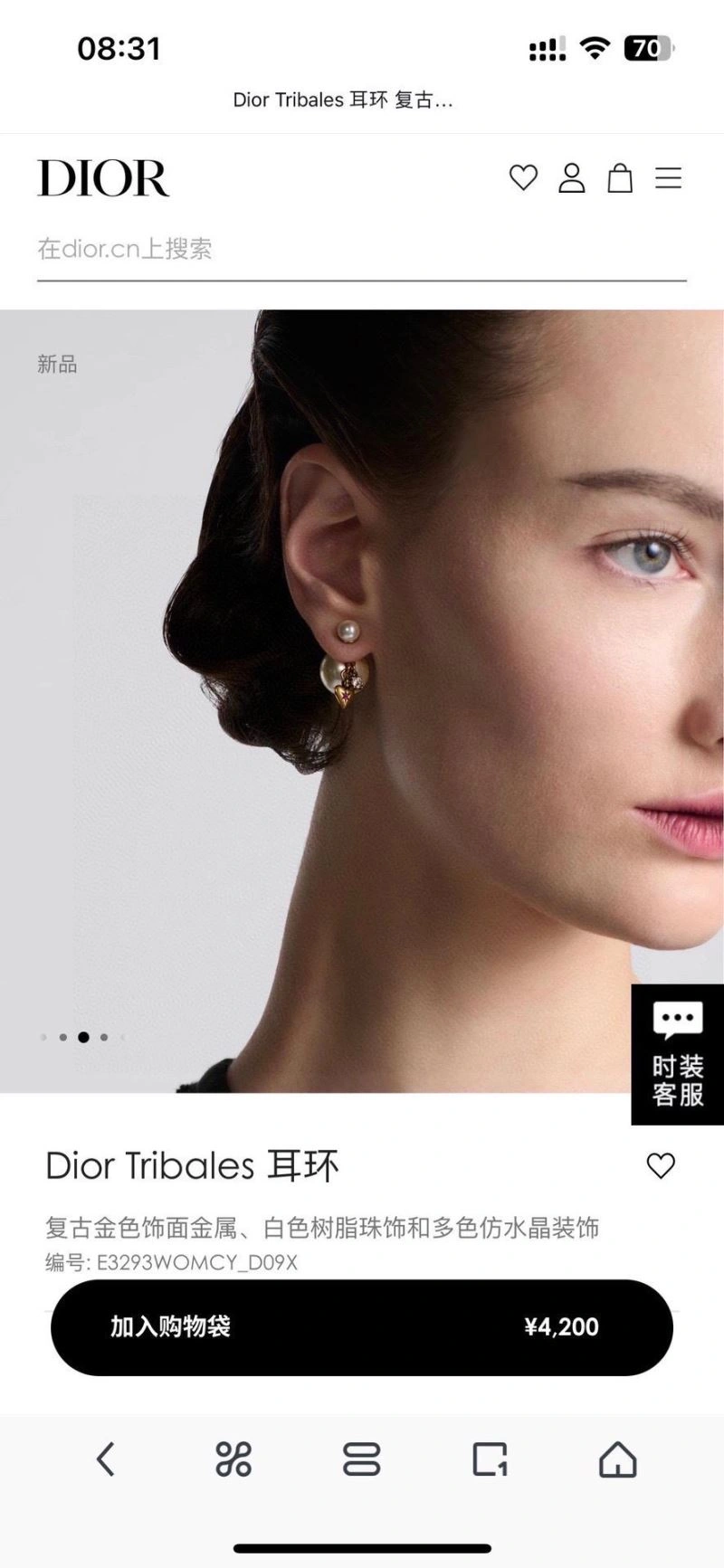 FastDry Christian Dior Earrings 235082