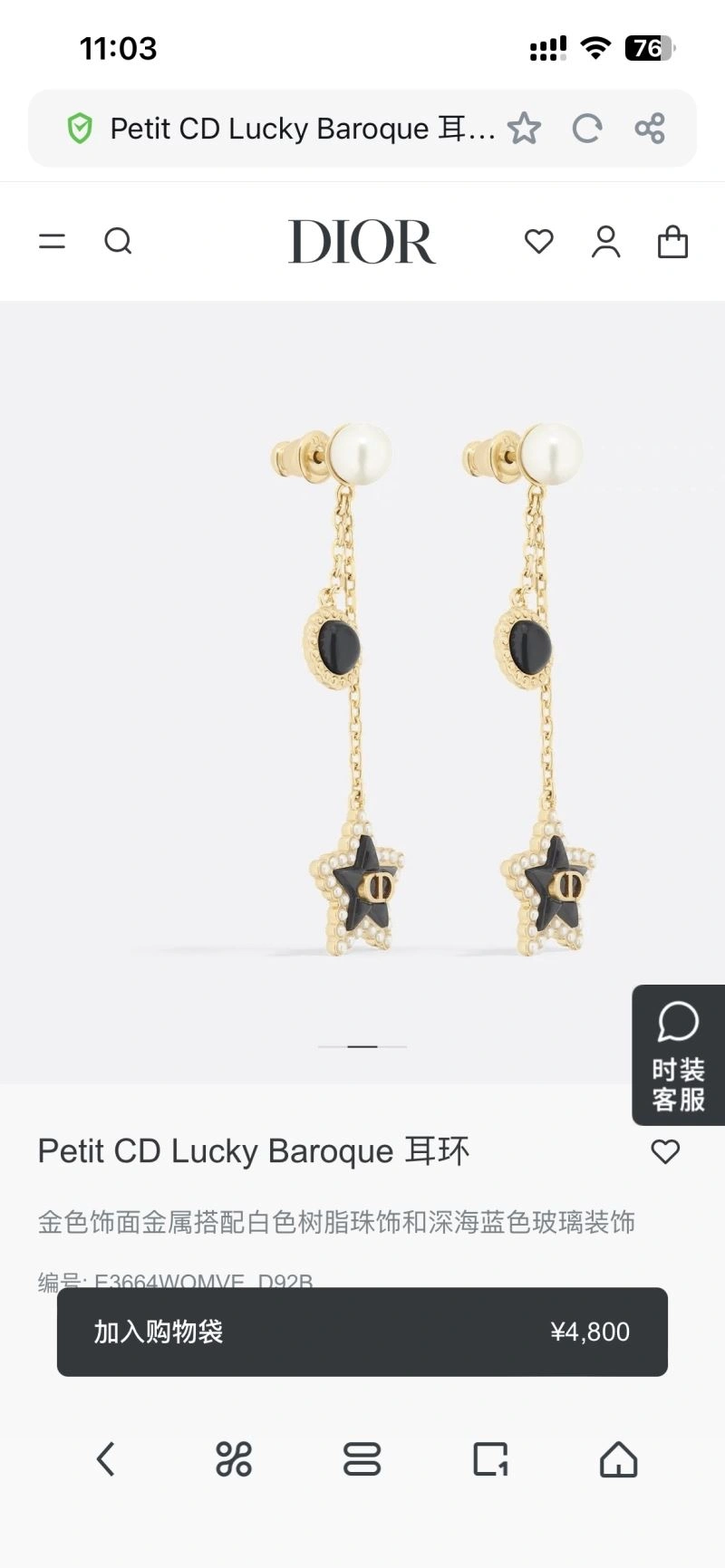 ZipUp Christian Dior Earrings 234992