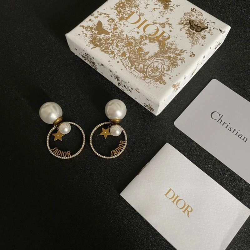 Christian Dior Earrings Packable 234988