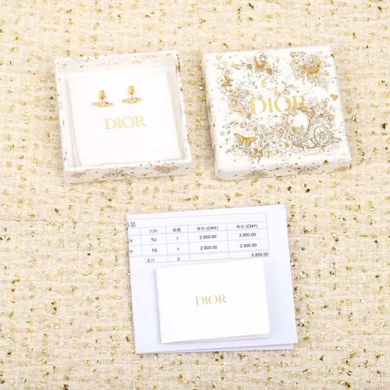 FastDry Christian Dior Earrings 234991
