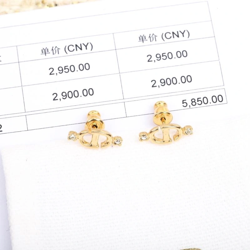 FastDry Christian Dior Earrings 234991
