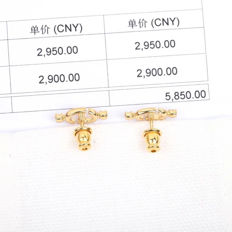 FastDry Christian Dior Earrings 234991